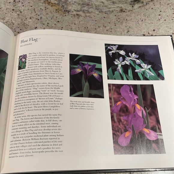 NWT- Mint Rare Vintage USPS Postage Stamps State Wildflowers and Book - Picture 5 of 9